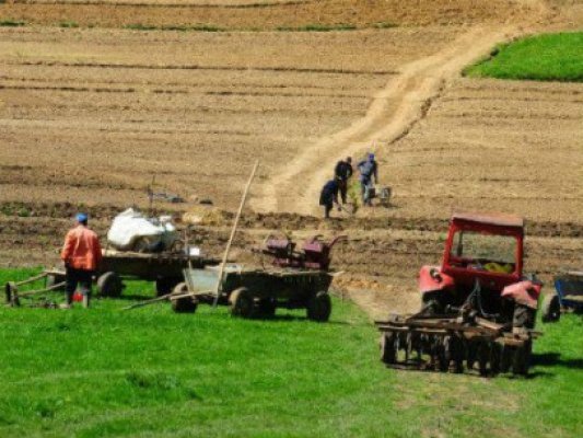 Agricultura va fi noul boom în economia românească
